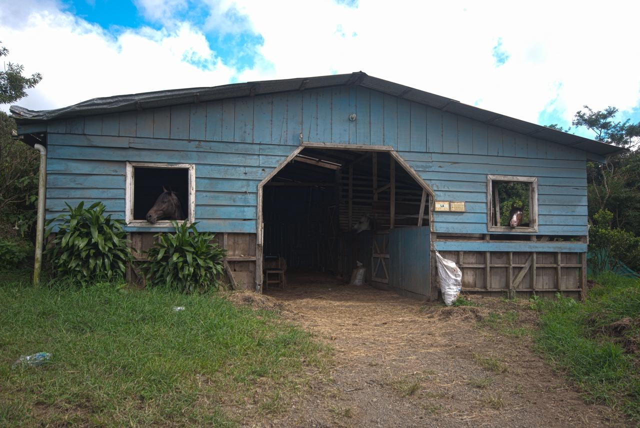 Hummingbird House B&B Santa Elena  Exterior photo